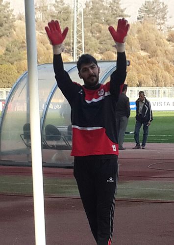 Davoud Noushi Soufiani