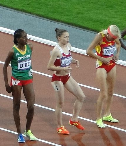 Etenesh Diro