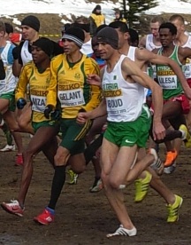 Elroy Gelant