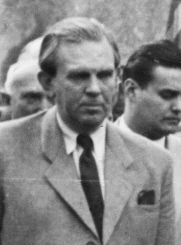 Erno Mihalyfi