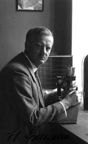 Gallery of Hans Spemann