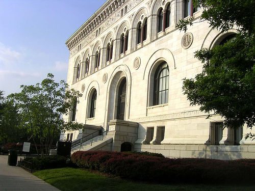 Gallery of Fusun Onur
