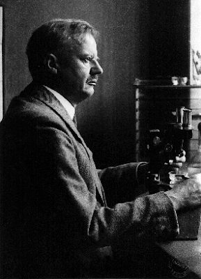 Gallery of Hans Spemann