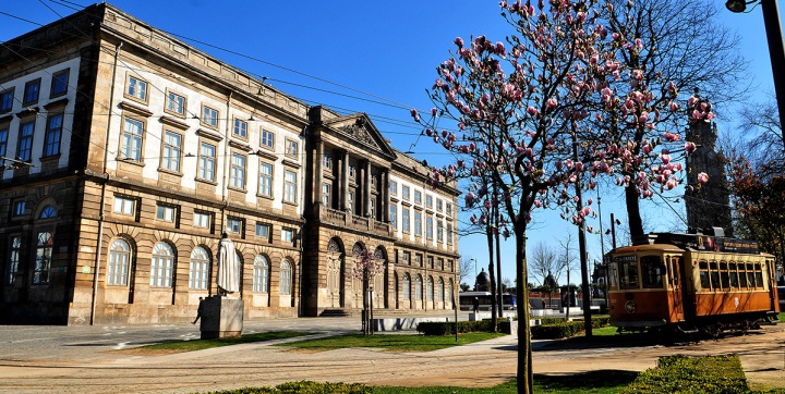 Gallery of Ângelo de Sousa