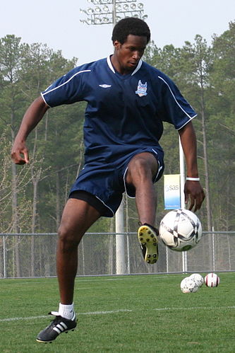 David Stokes