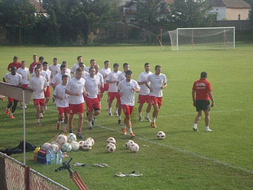 Dragojlo Stanojlovic