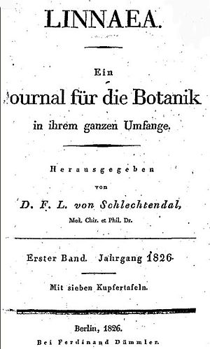 Diederich Schlechtendal