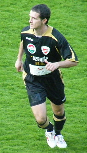 Despot Viskovic