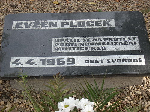 Evzen Plocek