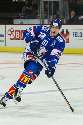 Fabrice Herzog