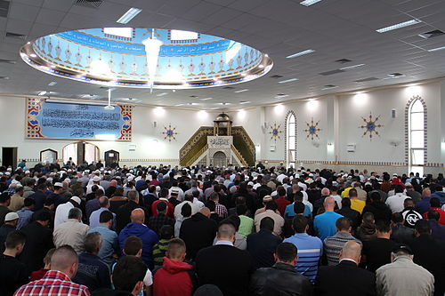 Fehmi Naji