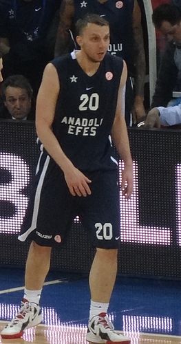 Dusko Savanovic