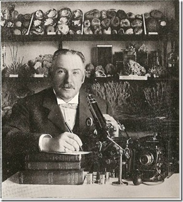 Edward Connold