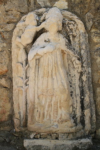 Canus Natus