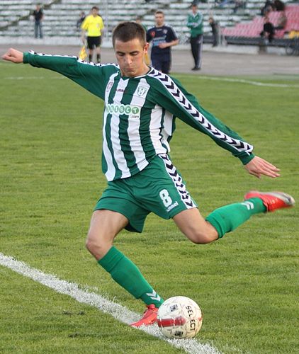 Egidijus Vaitkunas