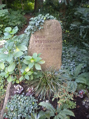 Erich Werdermann