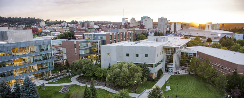 Gallery of Clyfford Still