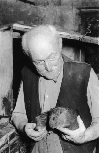 Adolf Dietrich