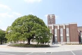 Gallery of Yasuma Takata