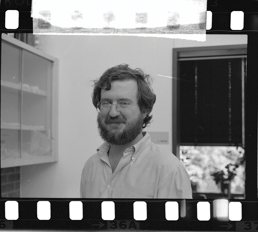 Gallery of James Allison