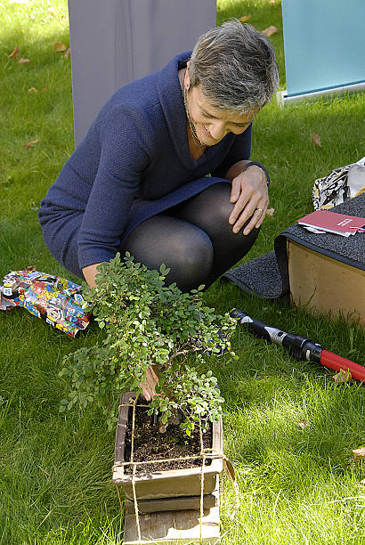Career period of Margrethe Vestager in career