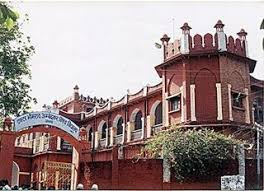 Gallery of Kailash Pandey
