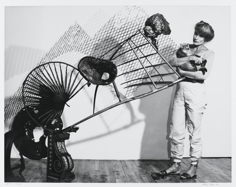 Gallery of Nancy Graves