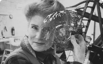 Gallery of Nancy Graves