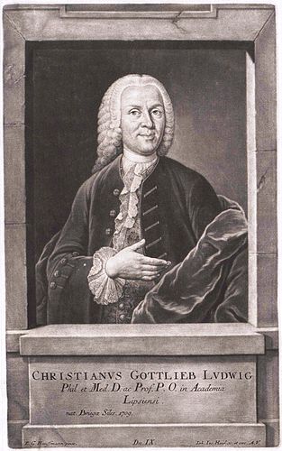 Christian Ludwig
