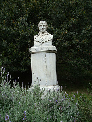 Domenico Cirillo