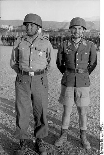 Horst Trebes