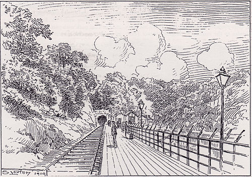 Samuel Loxton