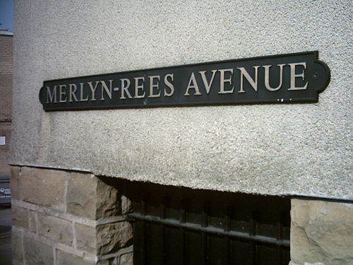 Merlyn REES