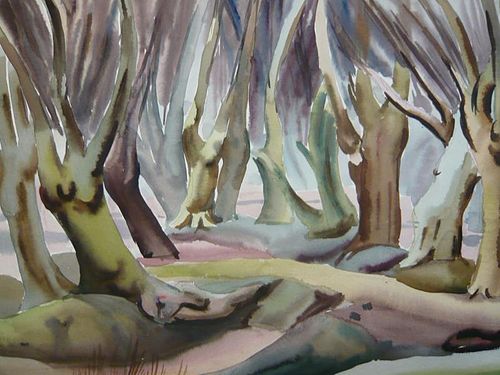 Harry Barr