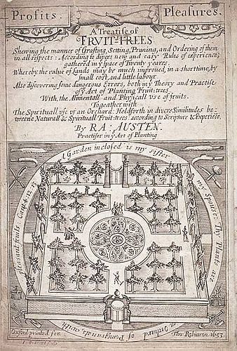 Ralph Austen