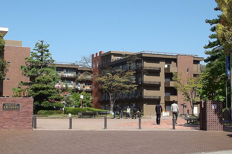Gallery of Toshitaka Tatsumi