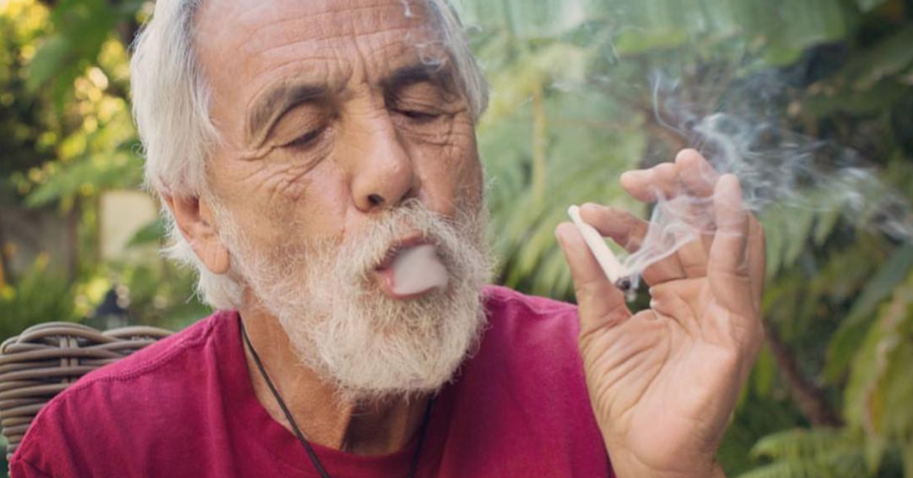 Gallery of Tommy Chong