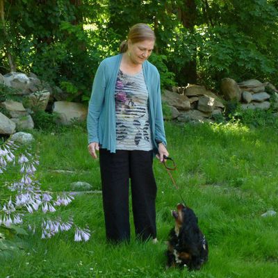 Gallery of Dorothy Cannell