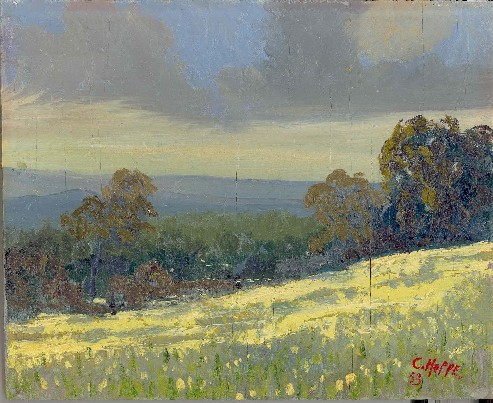 Carl Hoppe
