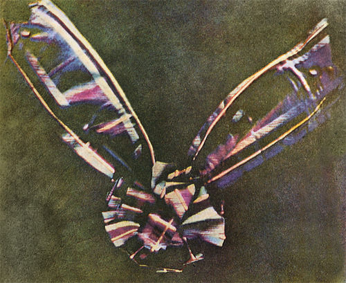 Thomas Sutton