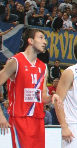 Stefan Bircevic