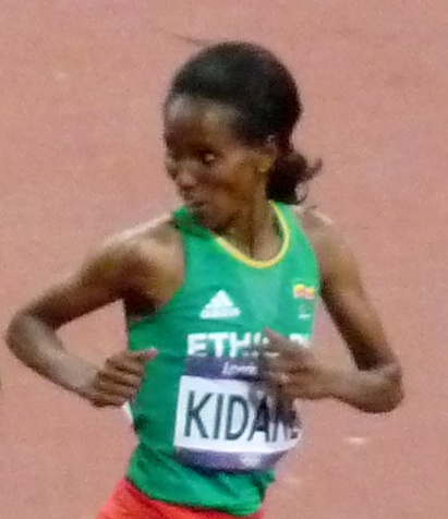 Werknesh Kidane