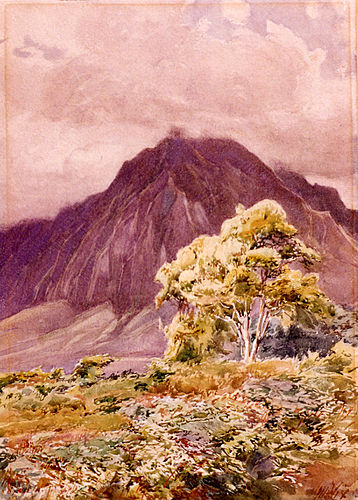 Henry Wix