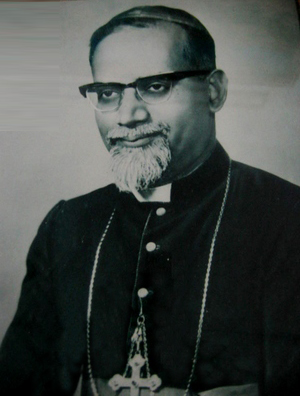 Venmani Selvanather