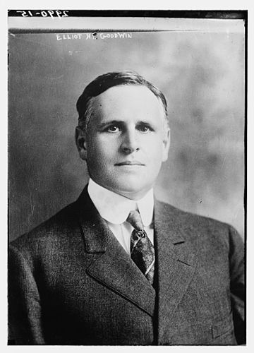 Elliot H. Goodwin