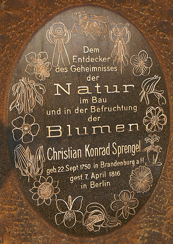 Christian Sprengel