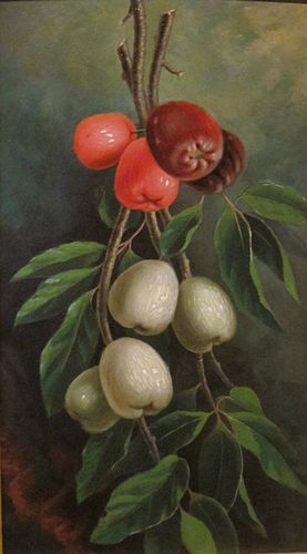 Margarete Gillin