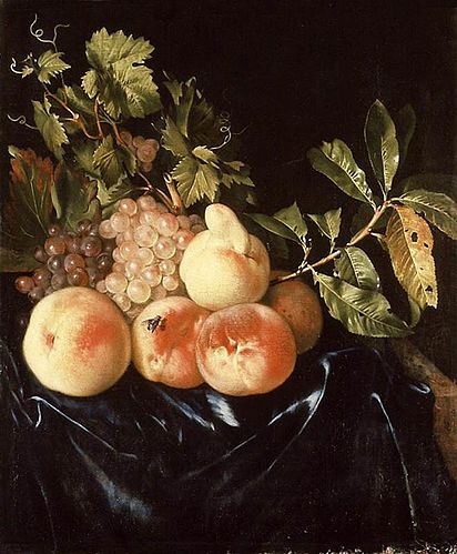 Willem Royen