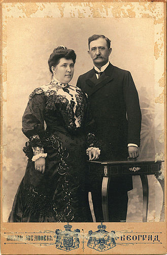 Golub Janic