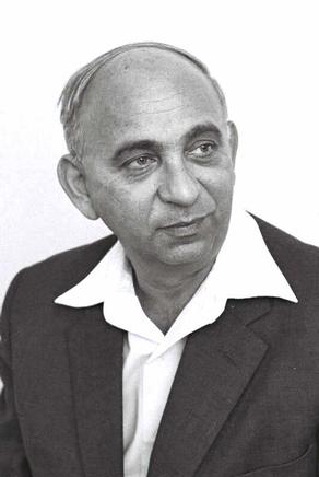 Hanan Rubin